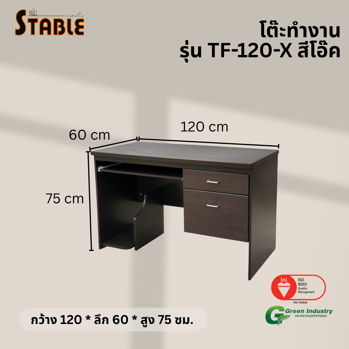 โต๊ะคอมพิวเตอร์ STABLE รุ่น TF-120-X 120 ซม. สีโอ๊ค_2